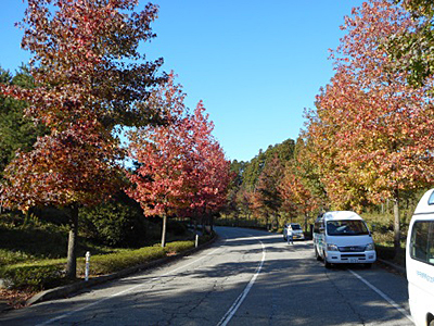 レクリエーション